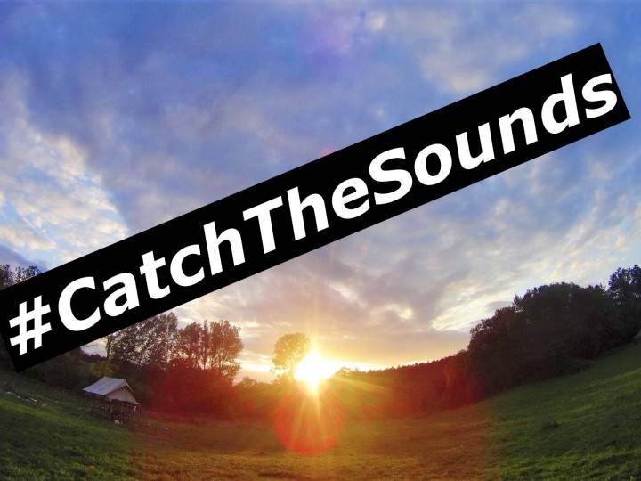 #CatchTheSounds